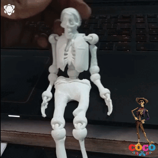 gif2.gif OBJ file ARTICULATED PRINT-IN-PLACE SKELETON COCO・3D printable model to download, akash-3d