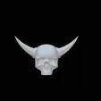 IMG_0679.gif Pekka skull