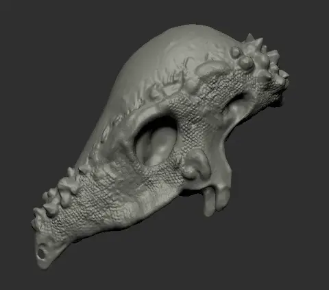 gif bestand.gif Fichier STL Crâne de Pachycéphalosaure・Modèle à télécharger et à imprimer en 3D, Think3dprint