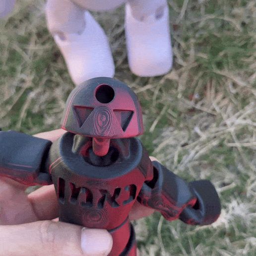 IMG_6960.gif The Golem