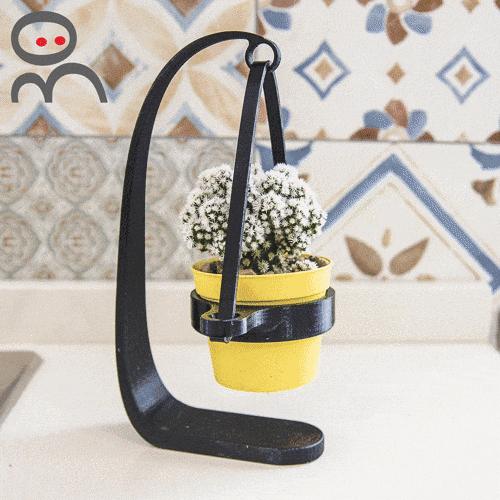 coveranimata.gif LaMaria