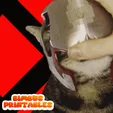 Untitled-video-Made-with-Clipchamp-27.gif Magnito Cat Helmet (X-Men)🪙