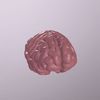 ezgif.com-gif-maker-92.gif Archivo STL Cerebro humano・Objeto imprimible en 3D para descargar