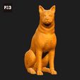 399-Canaan_Dog_Pose_06.gif Canaan Dog 3D Print Model Pose 06