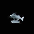 render-2.gif zander / pikeperch / Sander lucioperca fish in motion trophy statue detailed texture for 3d printing