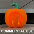 IMG_7859_Commercial.gif Cat Jack-O-Lantern Pumpkin Light Up with Bottom Closure - COMMERCIAL USE