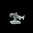render-2.gif rainbow trout / Oncorhynchus mykiss fish in motion trophy statue detailed texture for 3d printing