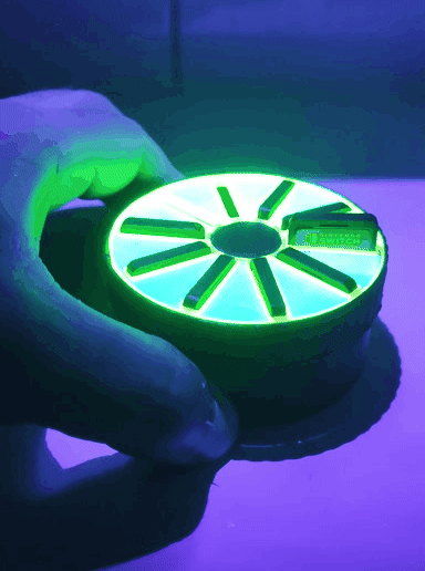 20230906_144124.gif ROLLIN CASE SWITCH CARDS