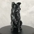 20240527090920.gif Border Collie Low Poly