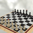 1__medium_bitrate_AdobeExpress-1.gif classic chess set