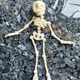 Симпатичный скелет с флекси-принтом