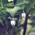 web.gif Muela y maceta /Molar e vaso de flores