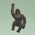 gorille2.gif The Goliath gorilla 🦍