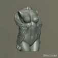 Wing_fem_torso.gif Torso feminino com asas