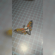 InShot_20230828_113247018.gif Death's- head Hawkmoth keychain