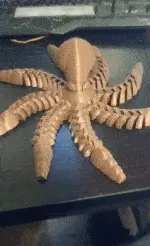 20230509_144530.gif Articulated squid
