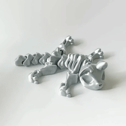 gatito002.gif STL file Nice Skeleton Cat・3D printing template to download, angeljacobofigueroa