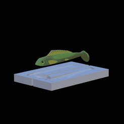 am-bait-16cm-2-standard-quality.gif Archivo STL AM pez cebo 16cm forma de pezuña para la pesca de depredadores・Modelo de impresión 3D para descargar