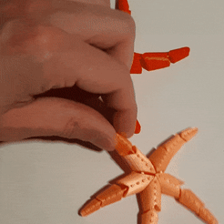 GIF-220227_221250.gif STL file Articulated starfish・3D printing design to download