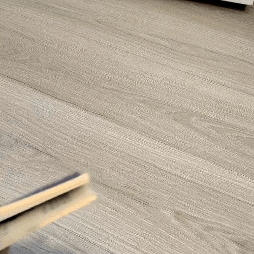 GIF-250805_194210.gif ARAIGNÉE FARCEUSE À REMONTER