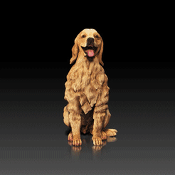 Golden-Retriever.gif Download STL file Golden Retriever - DOG BREED - CANINE -3D PRINT MODEL • 3D printer template, adamchai