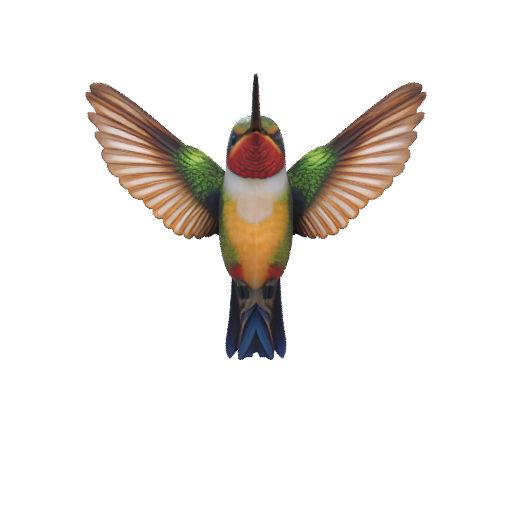 eede0275bc3adbb4512e980d0fea0426.mp4 3D модель - Колибри