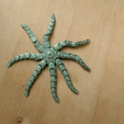 EtoileDeMer8Bras.gif Starfish with eight articulated arms