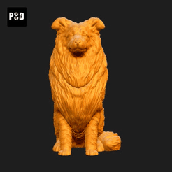 505-Collie_Rough_Pose_04.gif Archivo STL Collie Rough Dog Impresión 3D Modelo Pose 04・Objeto imprimible en 3D para descargar