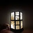 video-1635868664_SparkVideo.gif Hexagonal Rotating Lithophane Lamp