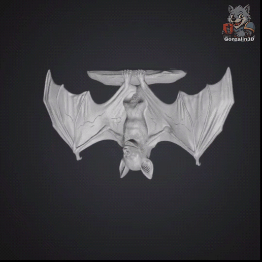 Bat sleeping and waking up - vampire bat bits