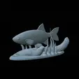 Perlin-4.gif fish common rudd statue detailed texture for 3d printing
