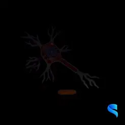 Neural Cell Gif.gif Cellule neuronale