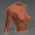 01.gif STL file Bust 01・3D printer model to download