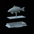 Carp-money-3.gif fish sculpture of a carp with storage space for 3d printing