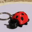 VIDEO-COCCINNELLE.gif STL file COCCINELLE・Design to download and 3D print