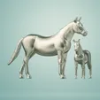 cheval-d'argent-1.gif The silver horse 🎠