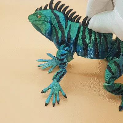 iguana_flexi102.gif iguana_flexi_printinsitu