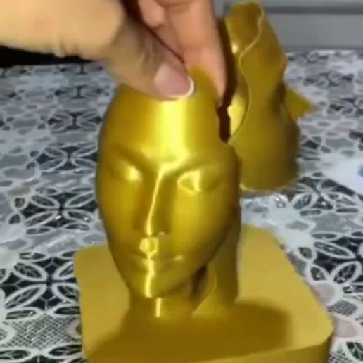 VIDEO.mp4 3D Sculpture: Abstract Double Face