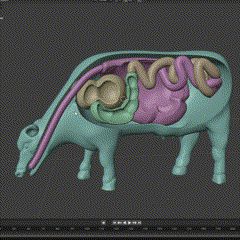 vaca-gif.gif VERDAUUNGSSYSTEM DER KUH