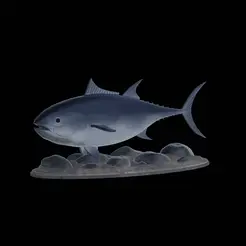 Bluefin-tuna.gif Fichier STL Thon rouge de l'Atlantique / Thunnus thynnus / Tuňák obecný poisson statue sous-marine texture détaillée pour impression 3d・Idée pour impression 3D à télécharger