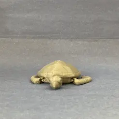 Turtle_Stop_Motion_GIF.gif Archivo STL Tortuga Flexi・Diseño para descargar y imprimir en 3D