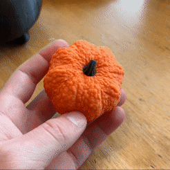 IMG_8906.gif Lumpy Pumpkin Fidget Toy