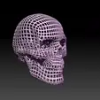 Skull-2.gif Skull