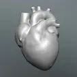 Heart1.gif Heart Sculpt (BASEMESH)