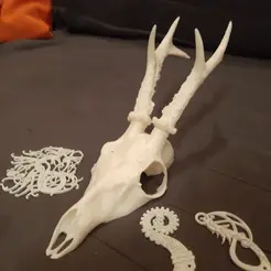 20230908_041635.gif STL file Roe deer skull wall trophy・3D printer model to download