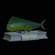 Base-mahi-mahi.gif fish mahi mahi / common dolphin fish statue detailed texture for 3d printing