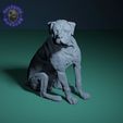 Rottweiler-sentado.gif Файл STL Сидячая собака ротвейлер・Модель 3D-принтера для скачивания