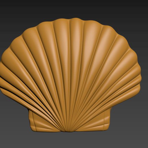 SeaShell.gif Coquillage Coquille Perle