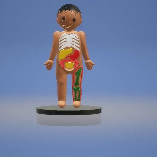 STL file HUMAN ANATOMY TOY 3D PRINTABLE MODEL 🌐 (OBJ)・3D print object ...