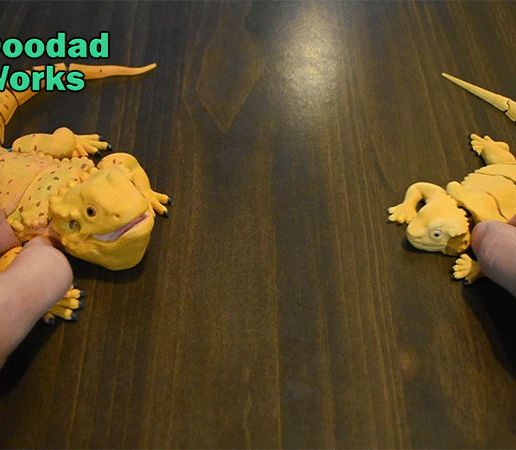 Double-dragon.gif Flexible Bearded Dragon Multiple Designs